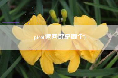 pico(返回键是哪个)