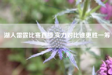 湖人雷霆比赛直播,实力对比谁更胜一筹