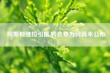 阿斯顿维拉引援,转会费为何尚未公布