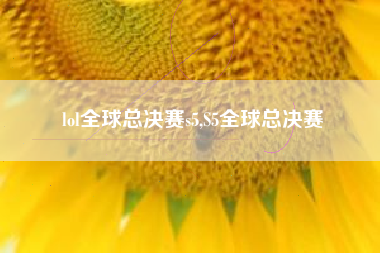 lol全球总决赛s5,S5全球总决赛