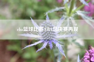 cba篮球比赛,CBA总决赛再现