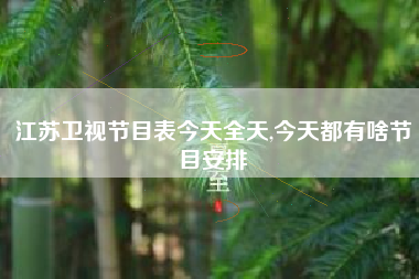 江苏卫视节目表今天全天,今天都有啥节目安排