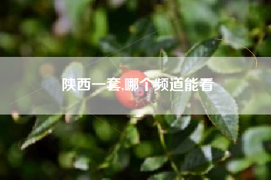 陕西一套,哪个频道能看