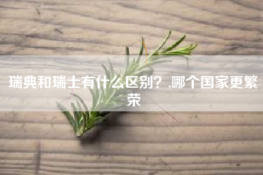 瑞典和瑞士有什么区别？,哪个国家更繁荣