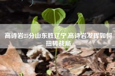 高诗岩25分山东胜辽宁,高诗岩发挥如何扭转战局