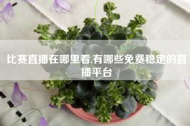 比赛直播在哪里看,有哪些免费稳定的直播平台