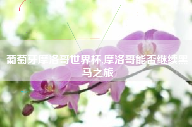 葡萄牙摩洛哥世界杯,摩洛哥能否继续黑马之旅