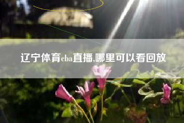 辽宁体育cba直播,哪里可以看回放