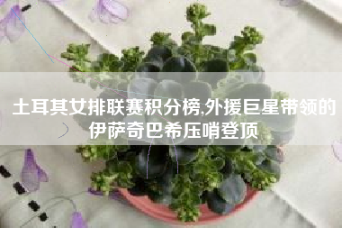 土耳其女排联赛积分榜,外援巨星带领的伊萨奇巴希压哨登顶