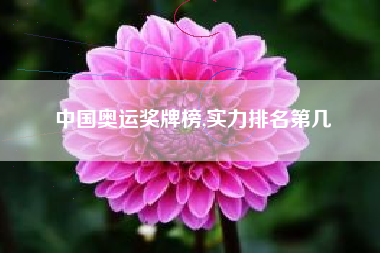 中国奥运奖牌榜,实力排名第几