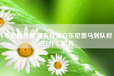 布伦特巴里,现在在圣安东尼奥马刺队担任什么职务