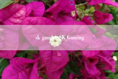 sk gaming,SK Gaming