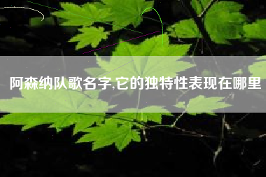 阿森纳队歌名字,它的独特性表现在哪里