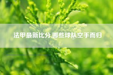 法甲最新比分,哪些球队空手而归