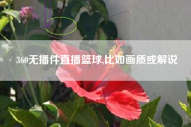 360无播件直播篮球,比如画质或解说