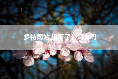 多特网站,旗下子公司有吗