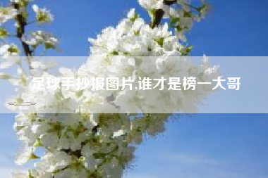 足球手抄报图片,谁才是榜一大哥