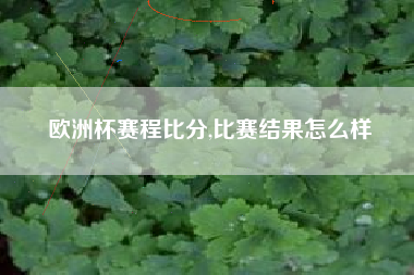 欧洲杯赛程比分,比赛结果怎么样