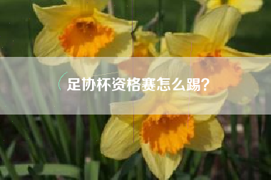 足协杯资格赛怎么踢？