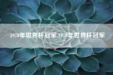 1970年世界杯冠军,1970年世界杯冠军
