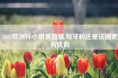 2021欧洲杯小组赛直播,匈牙利还是法国更有优势