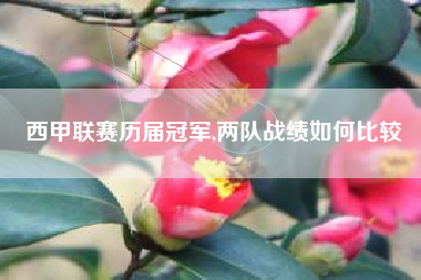 西甲联赛历届冠军,两队战绩如何比较