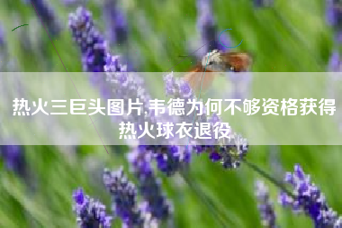 热火三巨头图片,韦德为何不够资格获得热火球衣退役