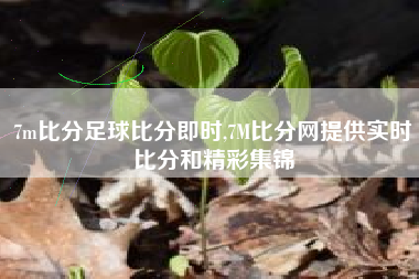 7m比分足球比分即时,7M比分网提供实时比分和精彩集锦