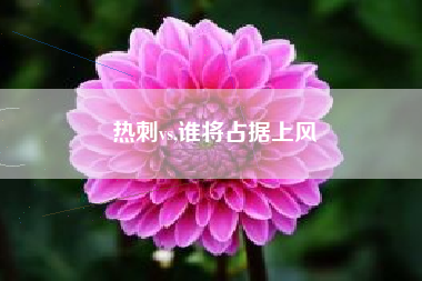 热刺vs,谁将占据上风