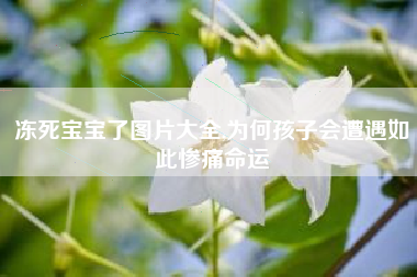 冻死宝宝了图片大全,为何孩子会遭遇如此惨痛命运