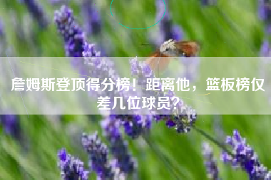 詹姆斯登顶得分榜！距离他，篮板榜仅差几位球员？
