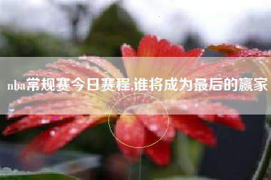 nba常规赛今日赛程,谁将成为最后的赢家