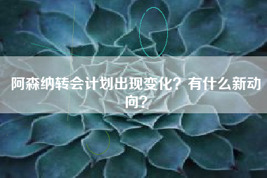 阿森纳转会计划出现变化？有什么新动向？