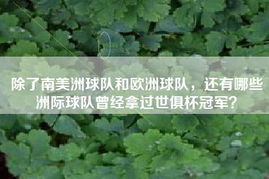 除了南美洲球队和欧洲球队，还有哪些洲际球队曾经拿过世俱杯冠军？