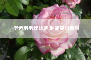 奥运羽毛球比赛,谁能突出重围