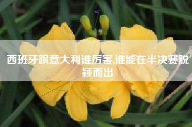 西班牙跟意大利谁厉害,谁能在半决赛脱颖而出