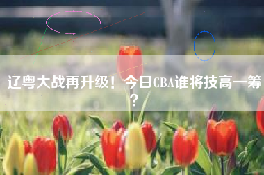 辽粤大战再升级！今日CBA谁将技高一筹？