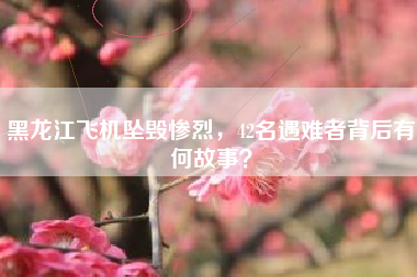 黑龙江飞机坠毁惨烈，42名遇难者背后有何故事？