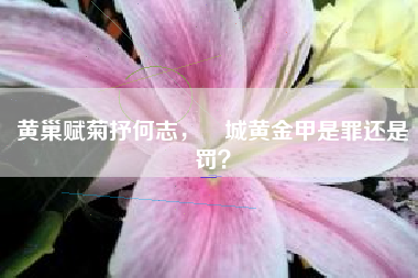 黄巢赋菊抒何志，滿城黄金甲是罪还是罚？