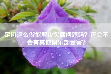 足协这么做能解决欠薪问题吗？还会不会有其他俱乐部受害？