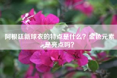 阿根廷新球衣的特点是什么？金色元素是亮点吗？