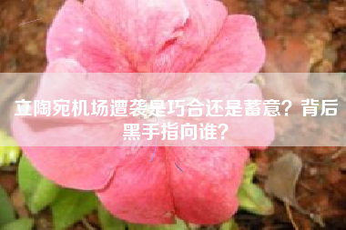 立陶宛机场遭袭是巧合还是蓄意？背后黑手指向谁？