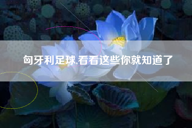 匈牙利足球,看看这些你就知道了