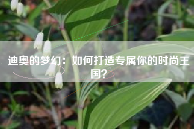迪奥的梦幻：如何打造专属你的时尚王国？