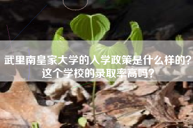 武里南皇家大学的入学政策是什么样的？这个学校的录取率高吗？