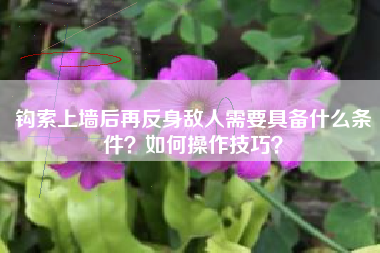 钩索上墙后再反身敌人需要具备什么条件？如何操作技巧？