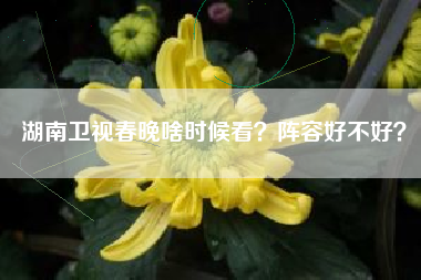 湖南卫视春晚啥时候看？阵容好不好？