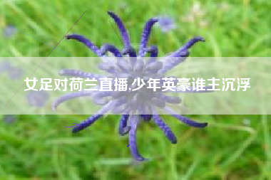 女足对荷兰直播,少年英豪谁主沉浮