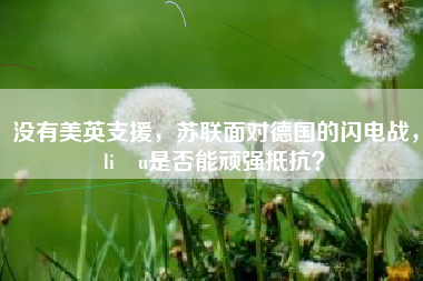没有美英支援，苏联面对德国的闪电战，liệu是否能顽强抵抗？