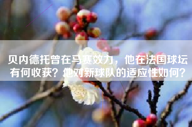 贝内德托曾在马赛效力，他在法国球坛有何收获？他对新球队的适应性如何？